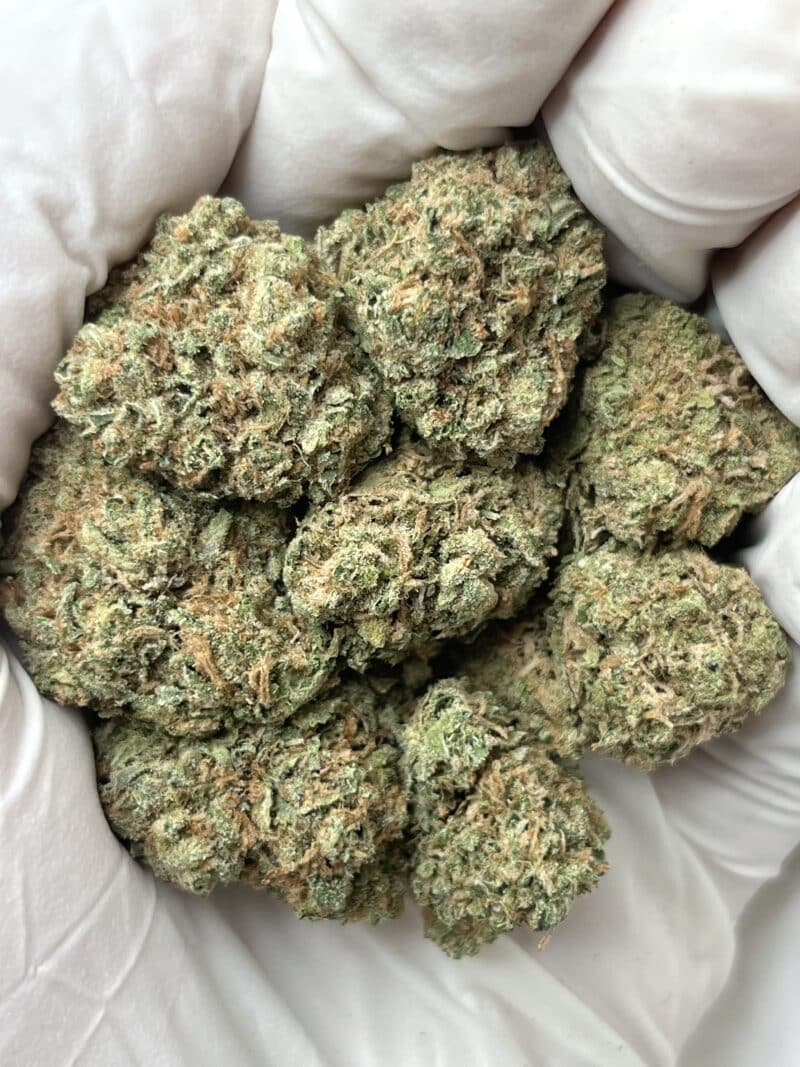 Candy Gas THCA flower buds