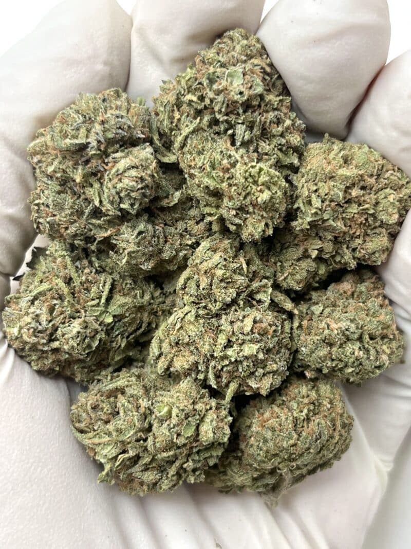 Gumbo THCA flower buds