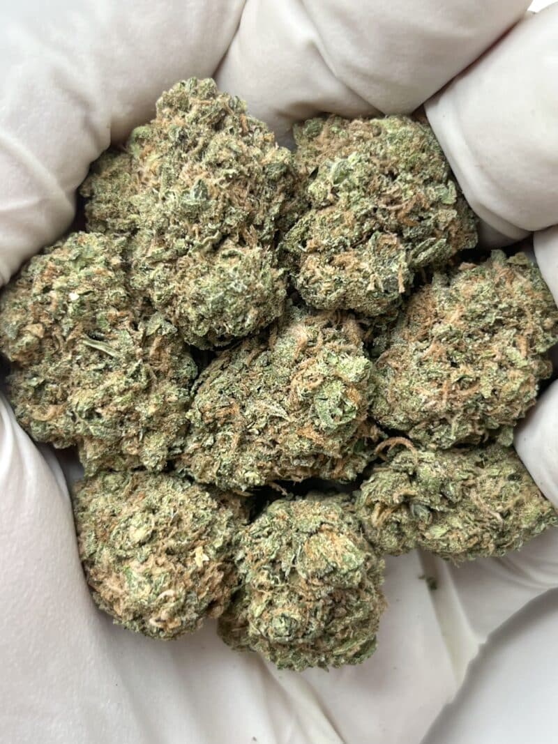 Runtz THCA flower buds