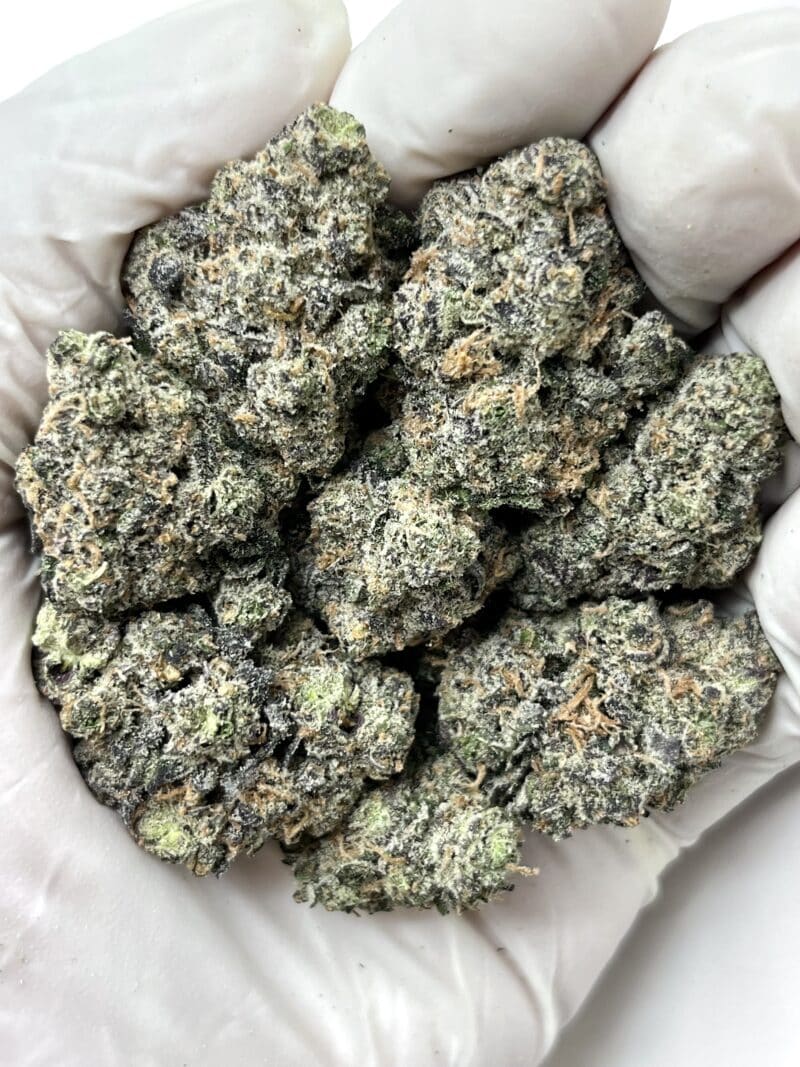 Cherry Garcia THCA flower buds