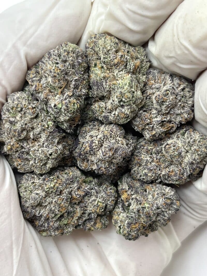 Jelly Cake THCA flower buds