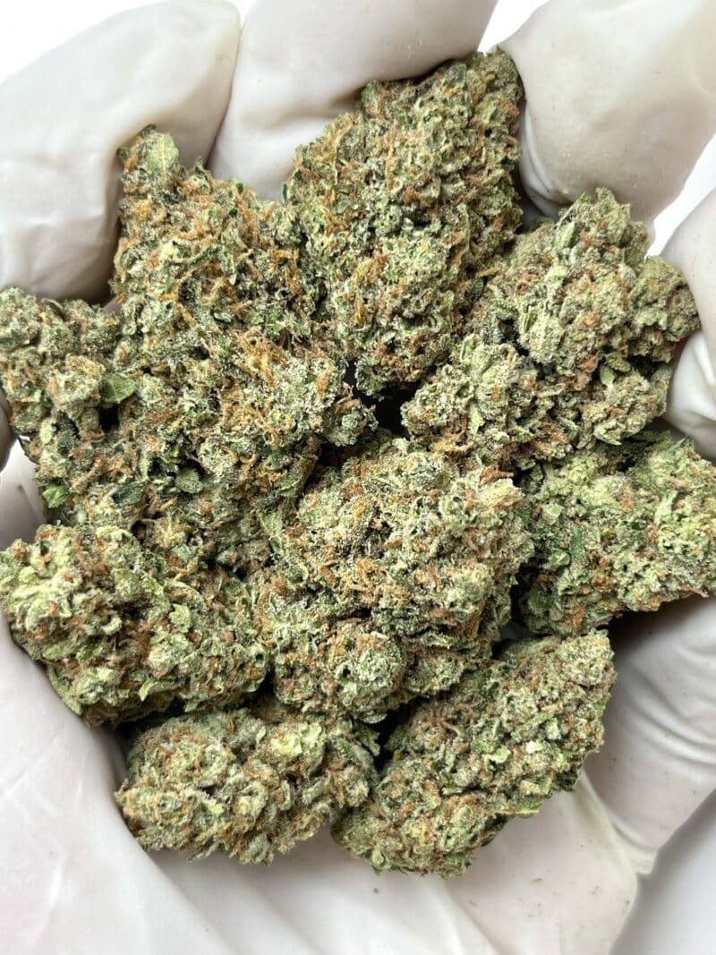 Mendo Breath THCA flower buds
