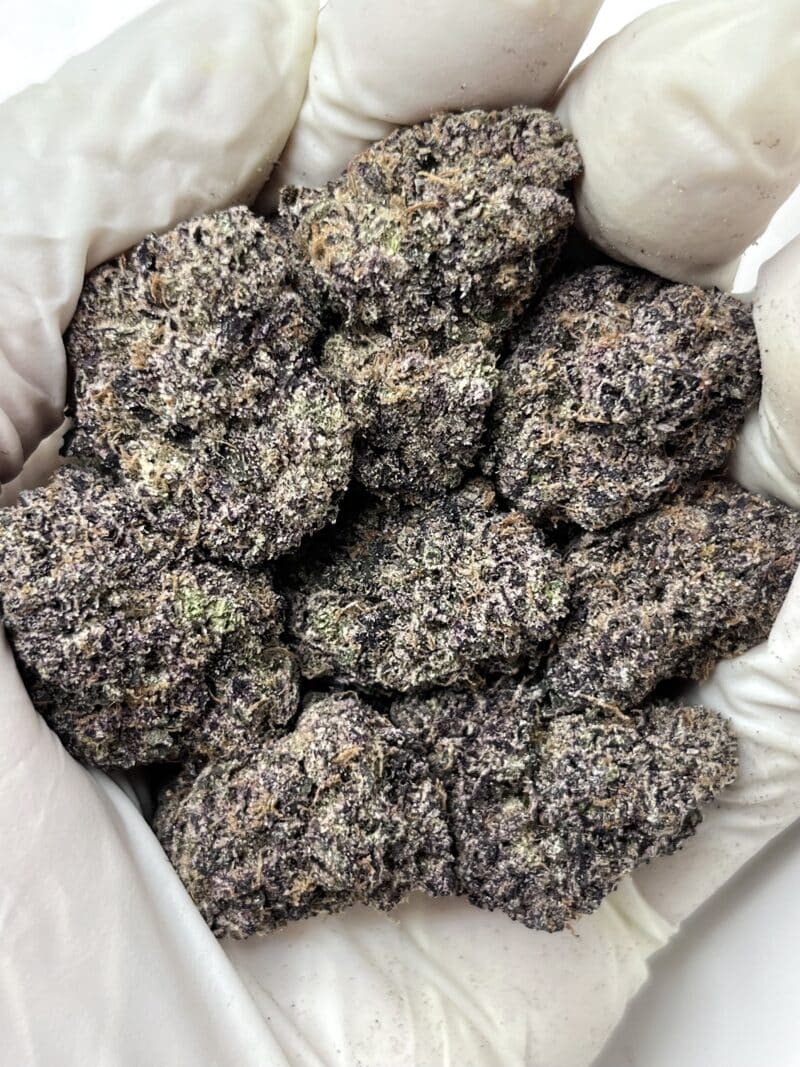 B.B Gelato THCA flower buds