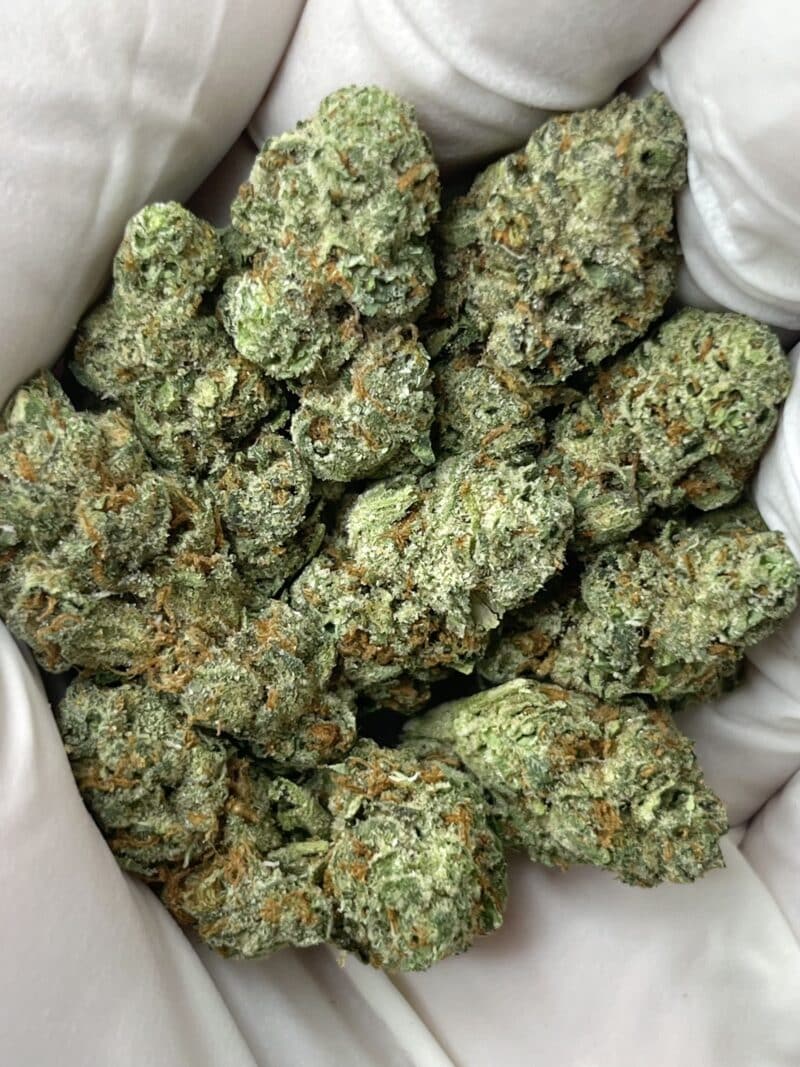Guava Pie THCA flower buds
