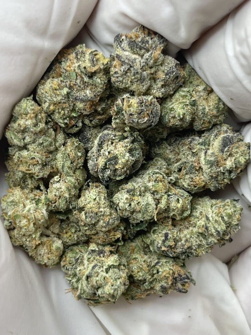 Cherry Delight THCA flower buds