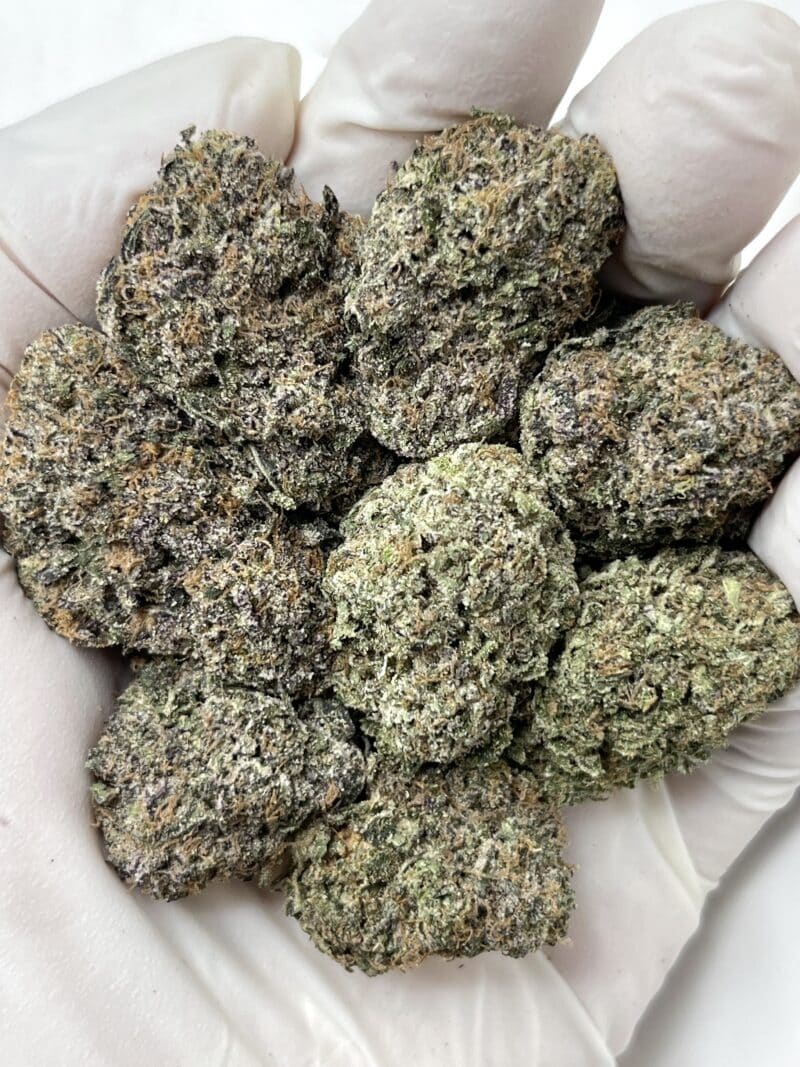 Lantz THCA flower buds