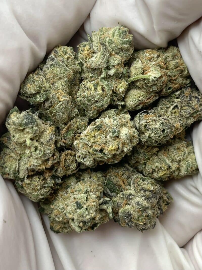 Trainwreck THCA flower buds