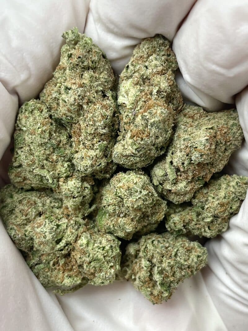 Scotch & Soda THCA flower buds