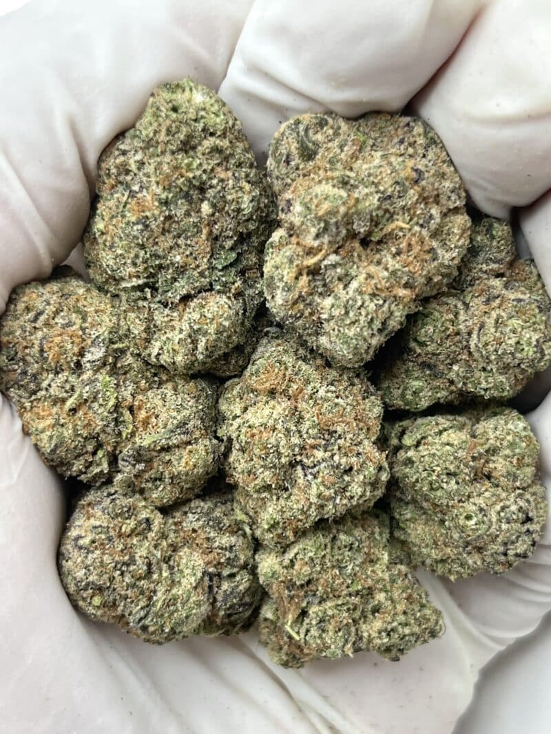 Blueberry THCA flower buds