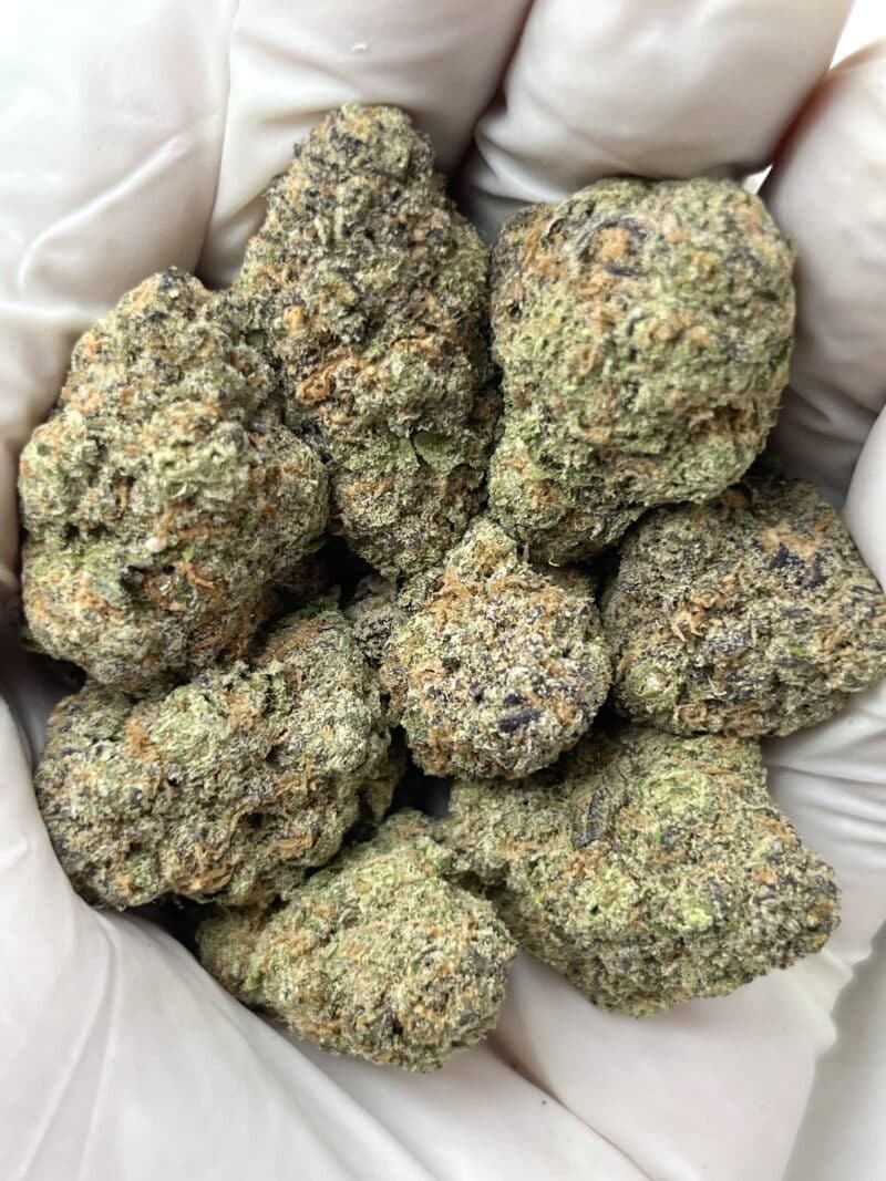 Blue X Lemon THCA flower buds