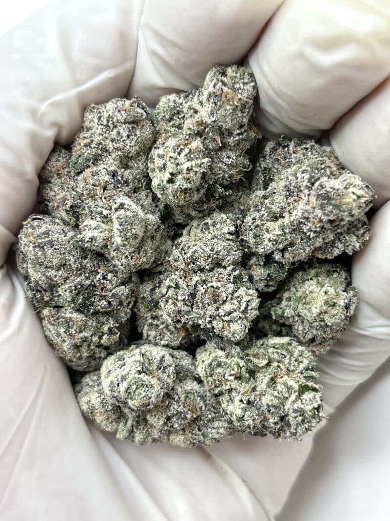 Backpack Boyz LCG THCA flower buds