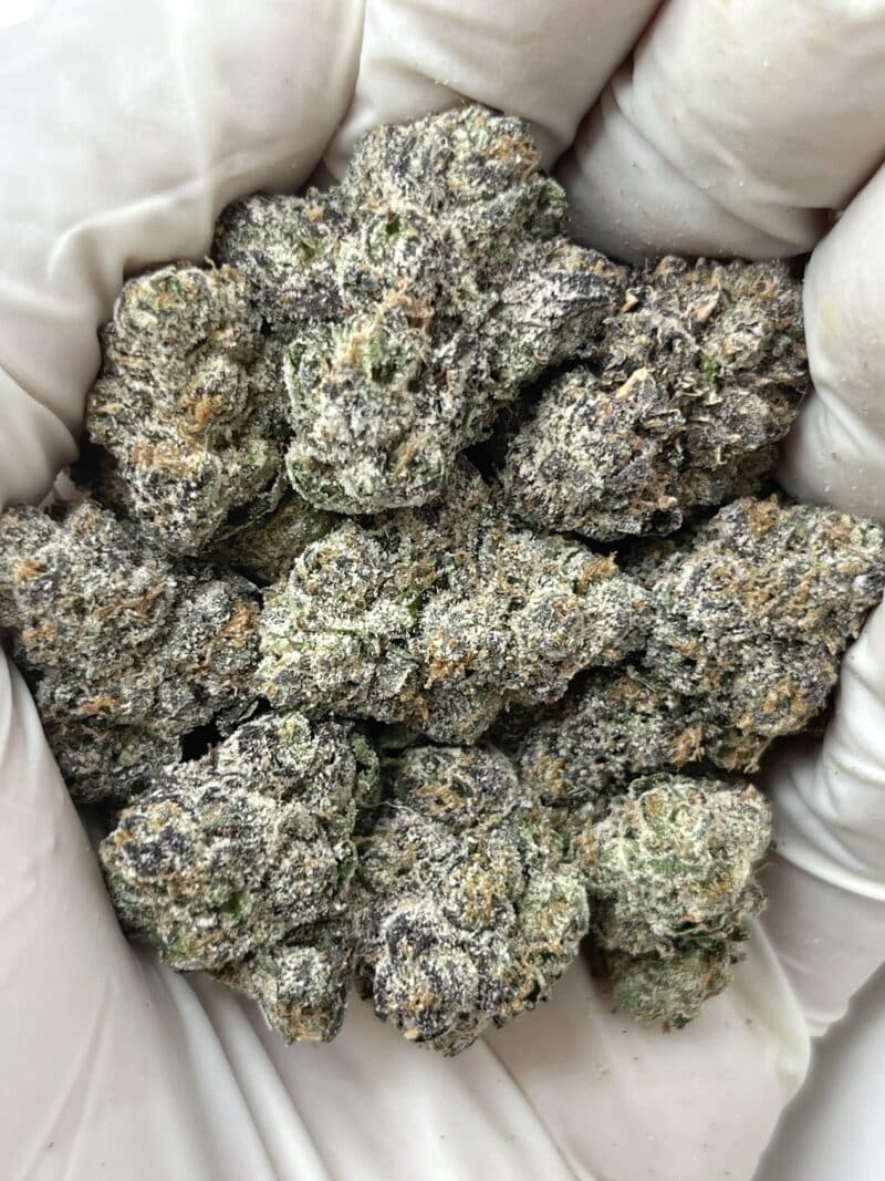 Rainbow Runtz THCA flower buds