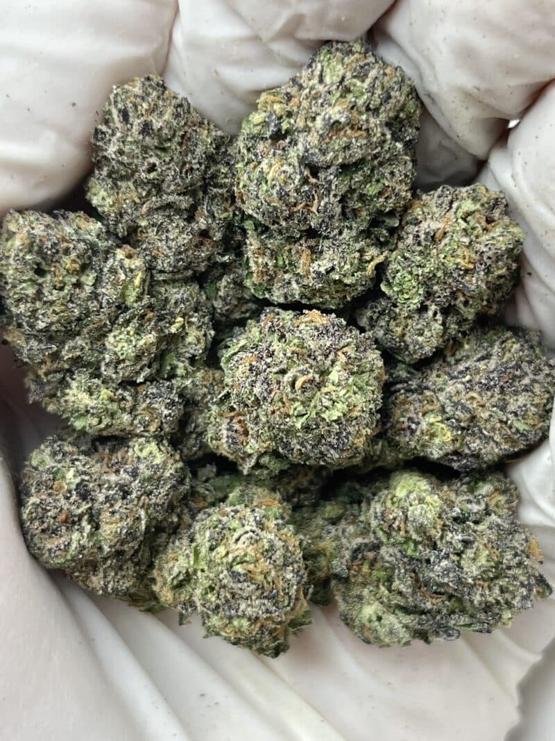 Pinnacle Runtz THCA flower buds