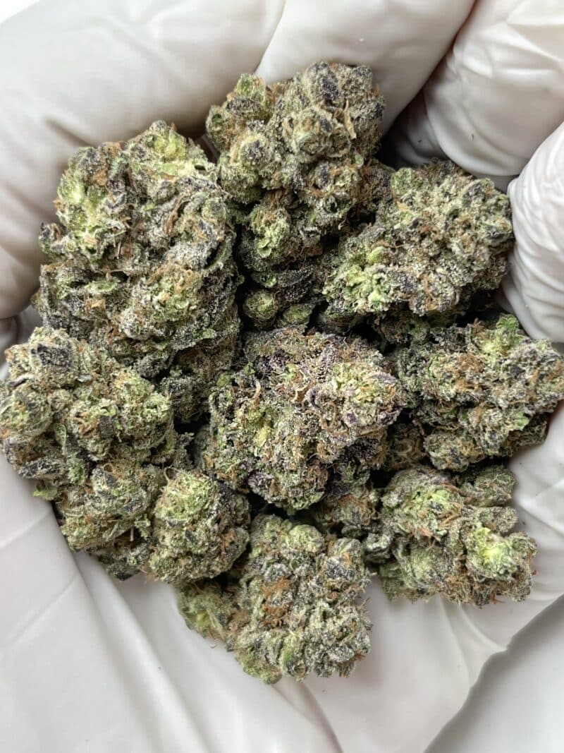 Kush Mints THCA flower buds