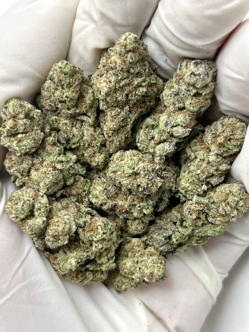 Glitter Bomb THCA flower buds