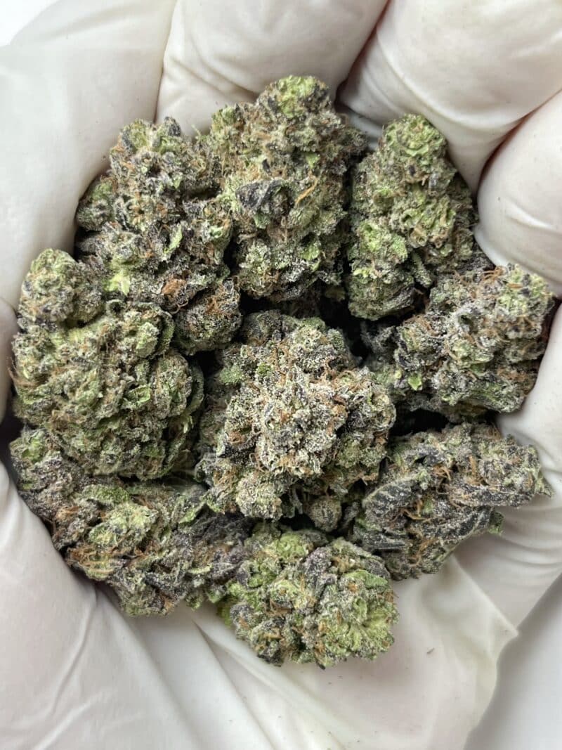 GMO THCA flower buds