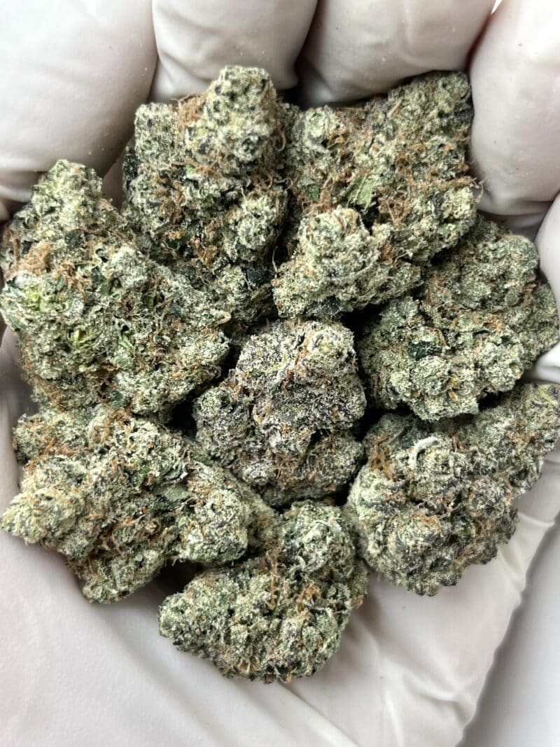 Black Runtz THCA flower buds