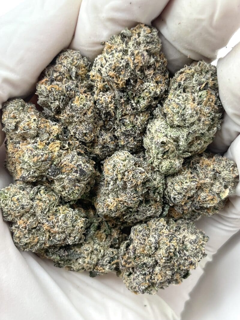 LCG THCA flower buds