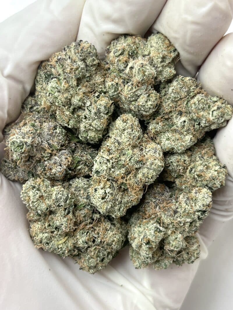 Cosmic Cherry Runtz THCA flower buds