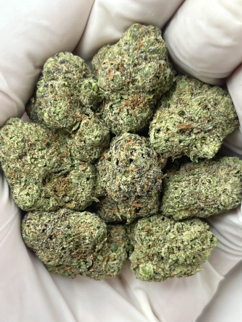 Grape Gas THCA flower buds