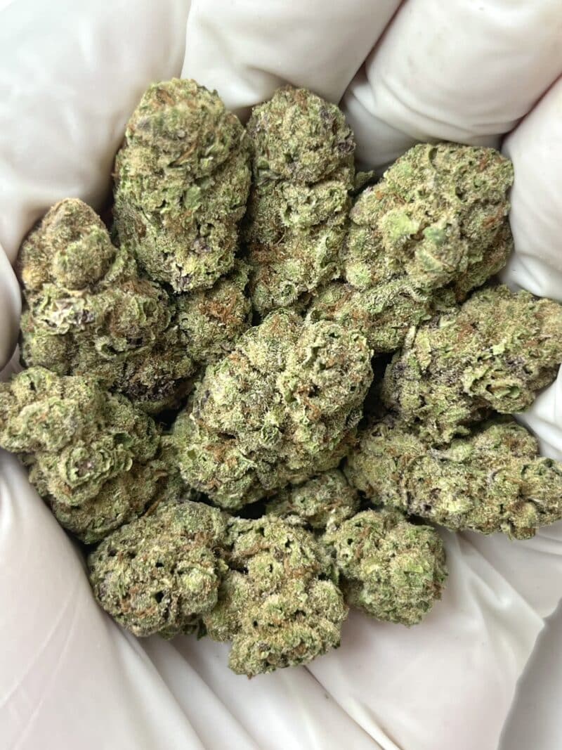 Blueberry Yumyum THCA flower buds