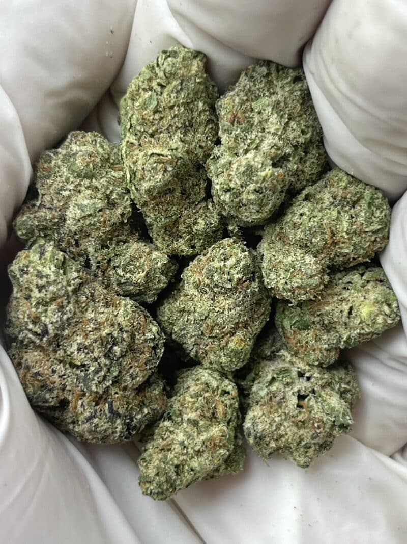 Grape Cream Cake THCA flower buds