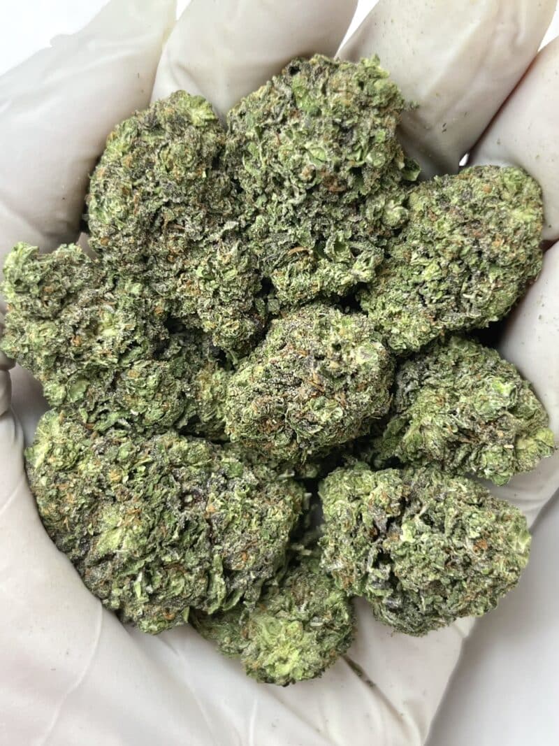 Grapenade THCA flower buds
