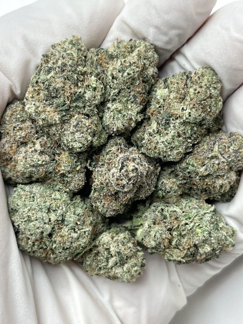Lemon Cherry Blizzard THCA flower buds