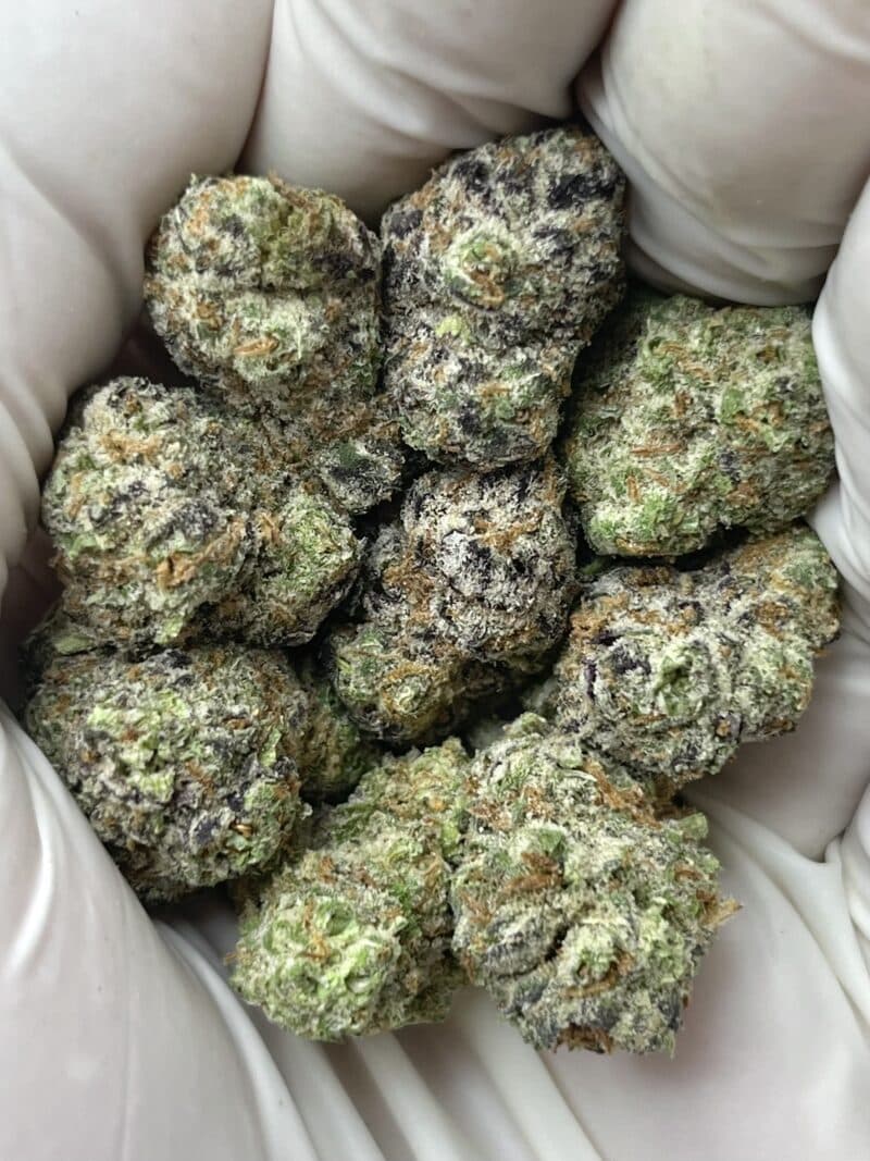 Peanut Butter Breath THCA flower buds
