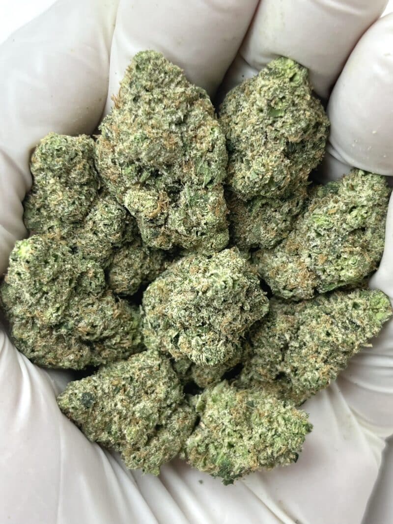 Astro Candy THCA flower buds