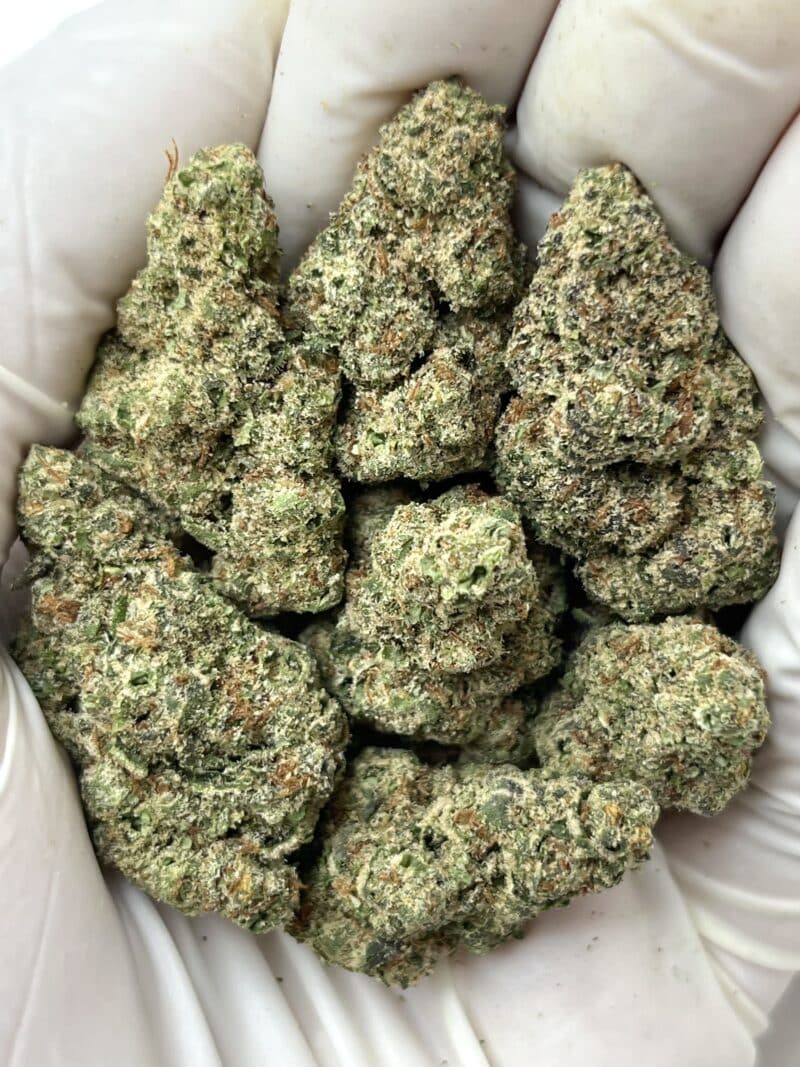 Blue Caviar THCA flower buds