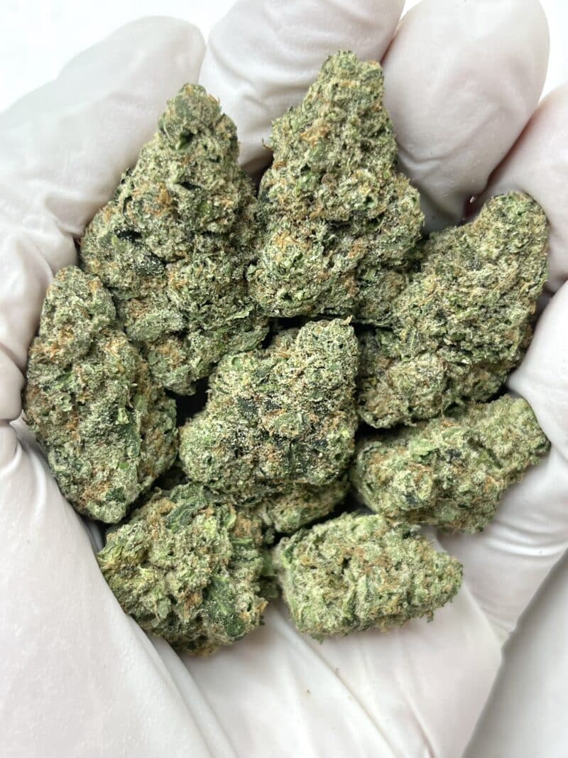 Elektra Ice THCA flower buds