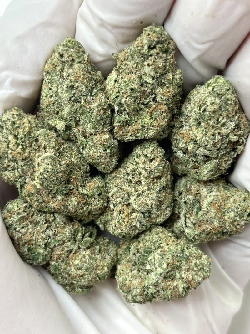 Blue Meteorite THCA flower buds