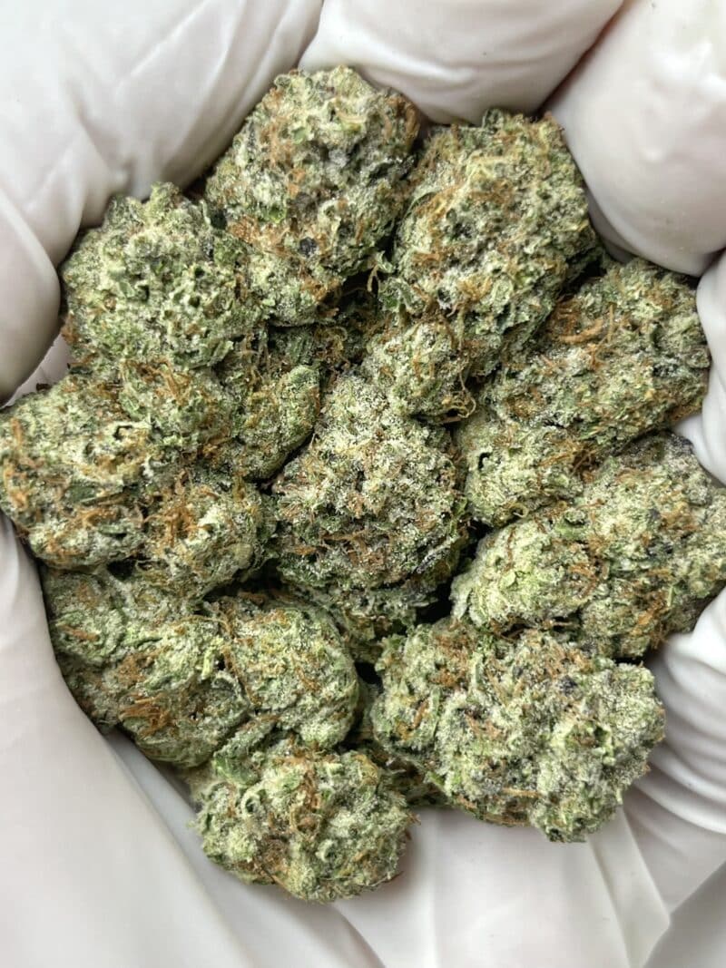 1 Pound THCa Flower - Black Amber Big