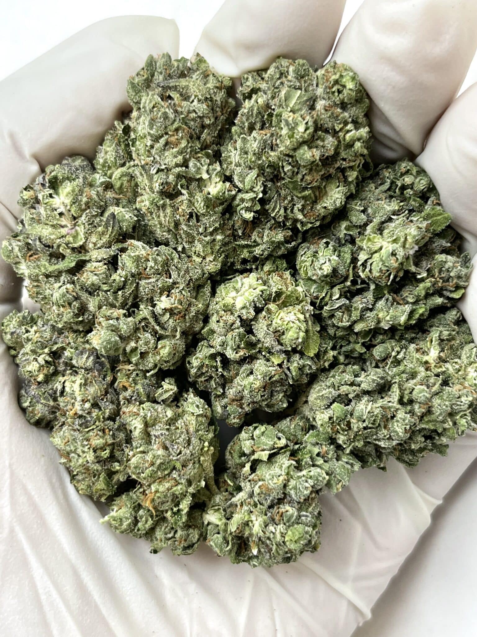 Princess Peach THCA flower buds
