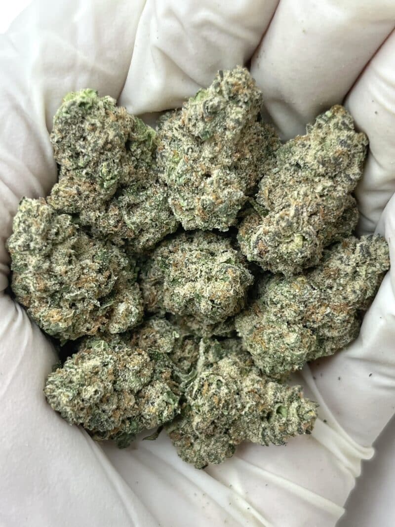 1 Pound THCa Flower - Street Tarts Big