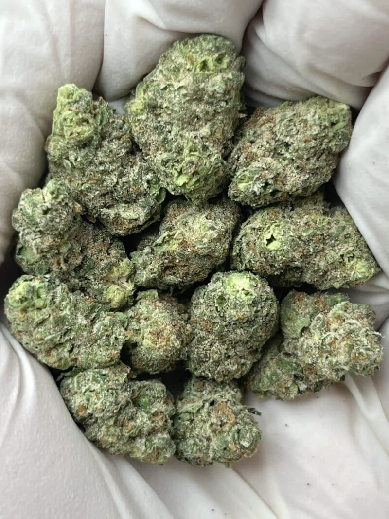 1 Pound THCa Flower - Street Tarts (Smalls)