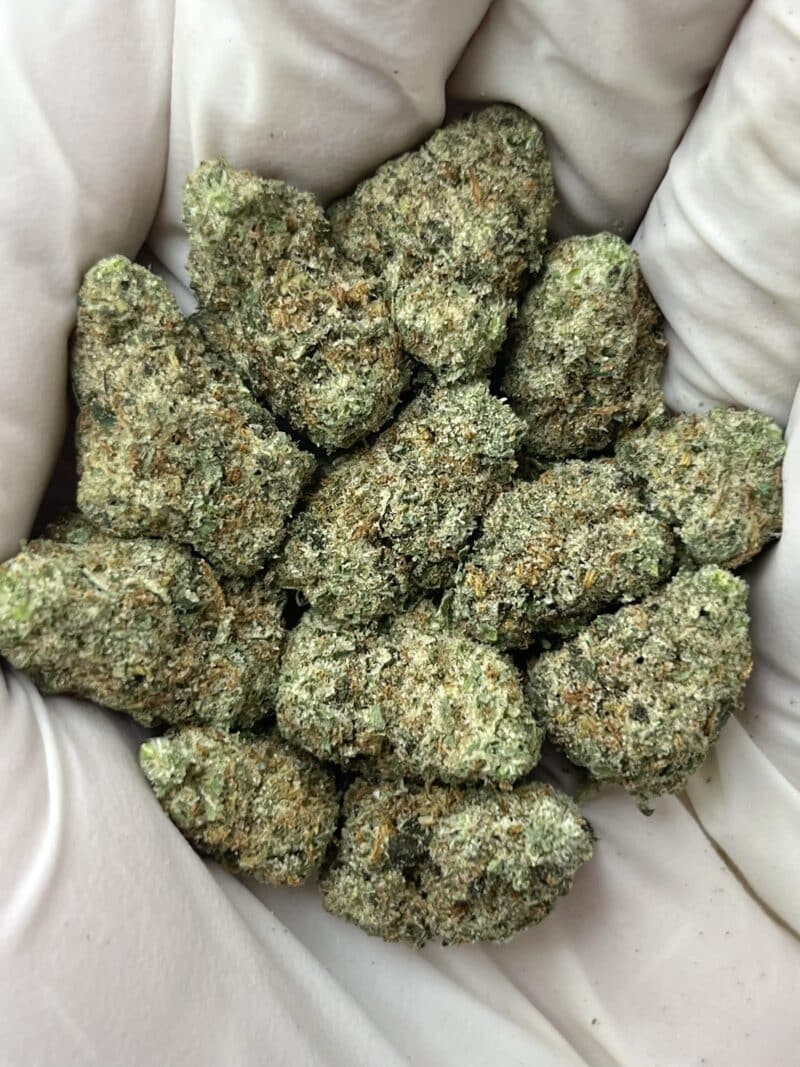1 Pound THCa Flower - Jack Herer (Smalls)