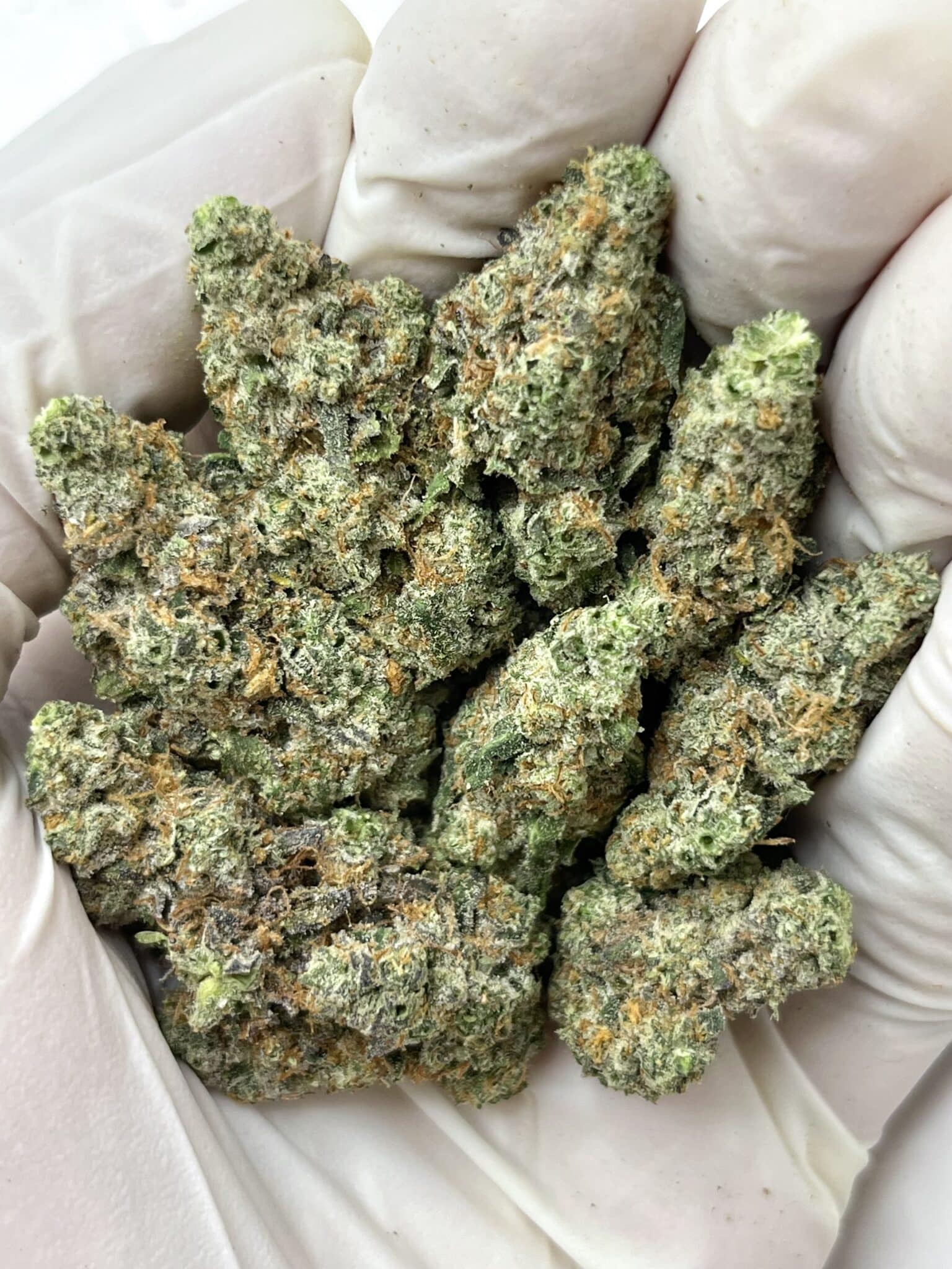 Black Lung THCA flower macro photo
