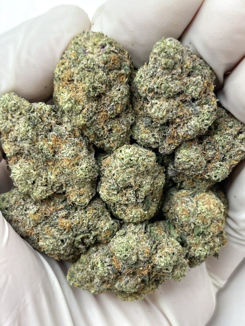 1 Pound THCa Flower - Animal Funk Big