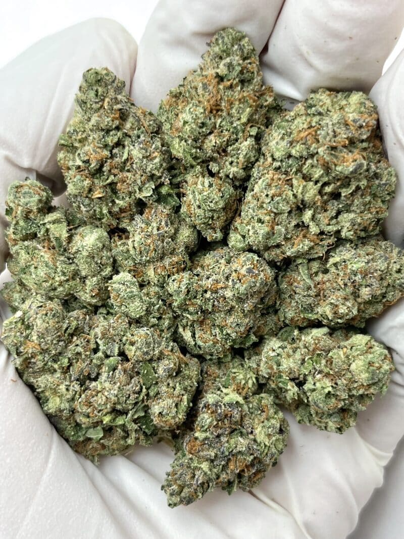 1 Pound THCa Flower - Mango Haze Big