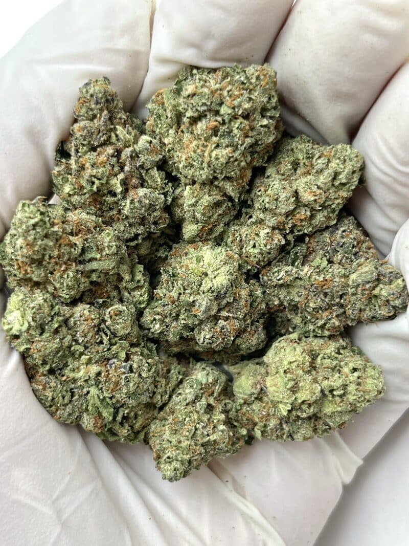 1 Pound THCa Flower - MAC Big