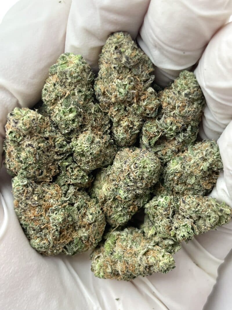 1 Pound THCa Flower - Purple Starfruit Big