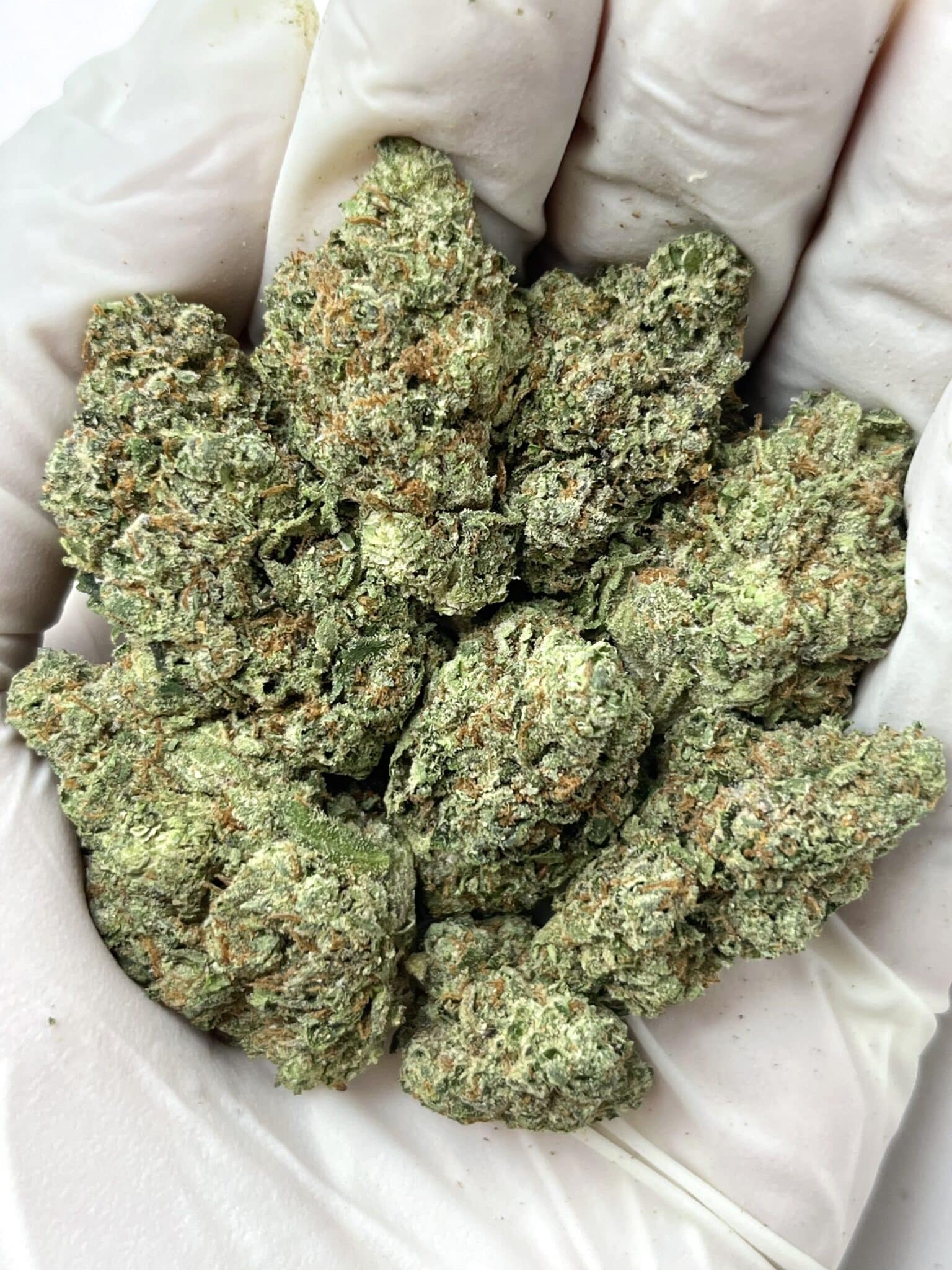 Pineapple Gelato THCA flower macro photo