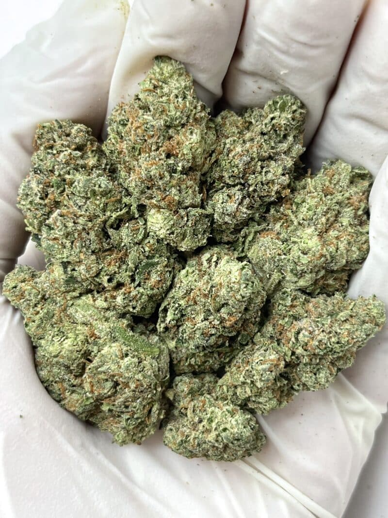 1 Pound THCa Flower - Pineapple Gelato Big