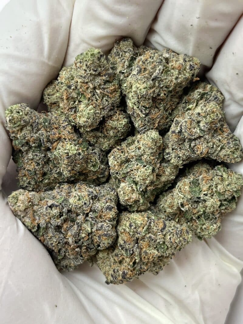 1 Pound THCa Flower - Cereal Milk Big