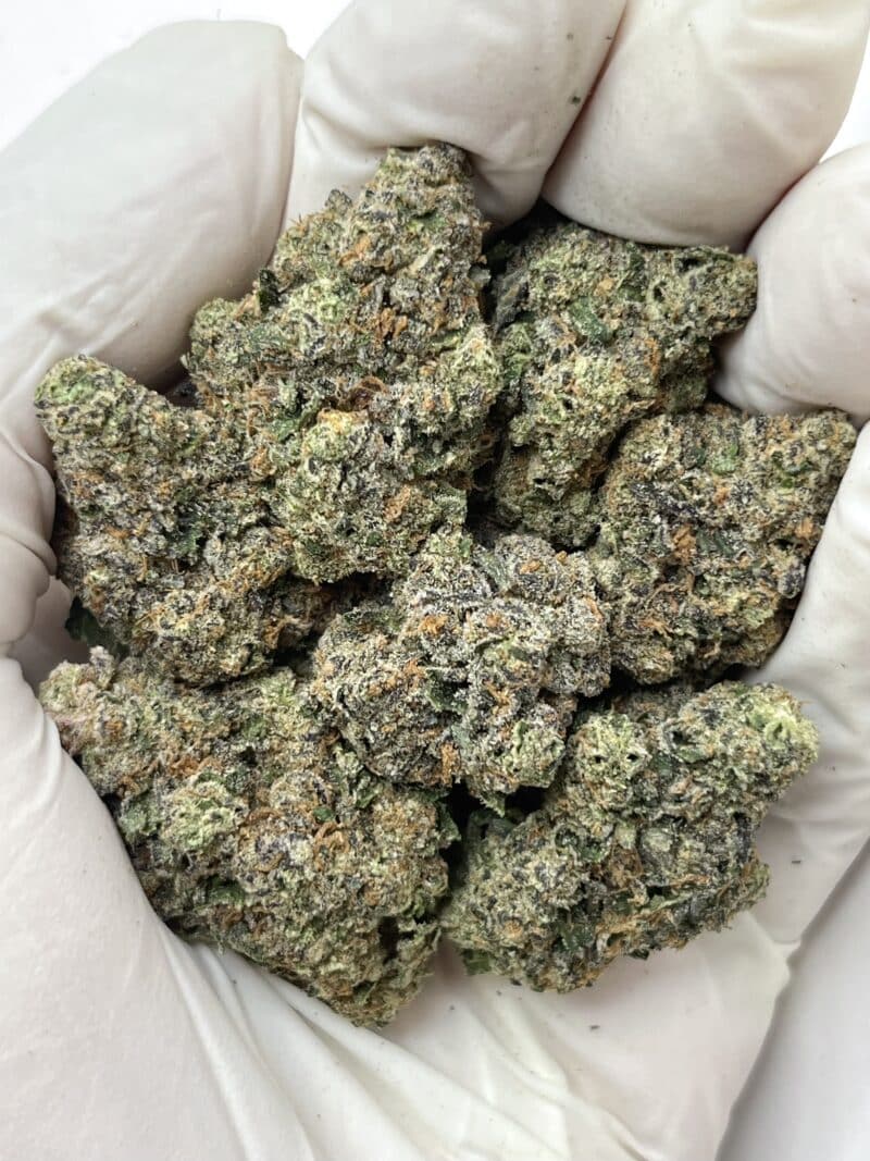 1 Pound THCa Flower - Apple Fritter Big