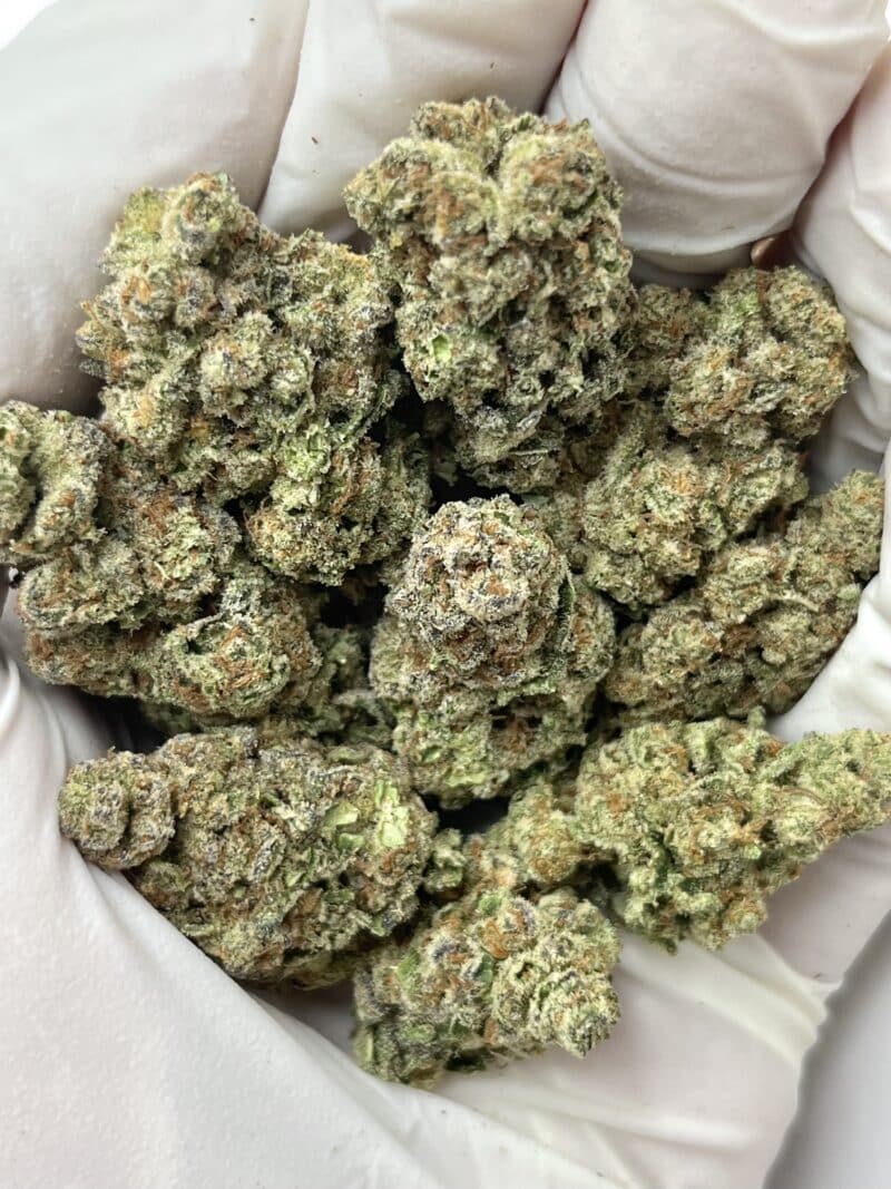 1 Pound THCa Flower - Glitter Bomb Big