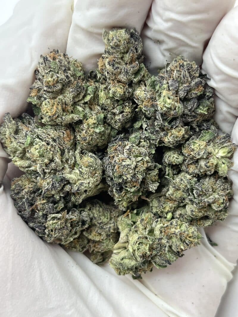 1 Pound THCa Flower - Pink Runtz Big