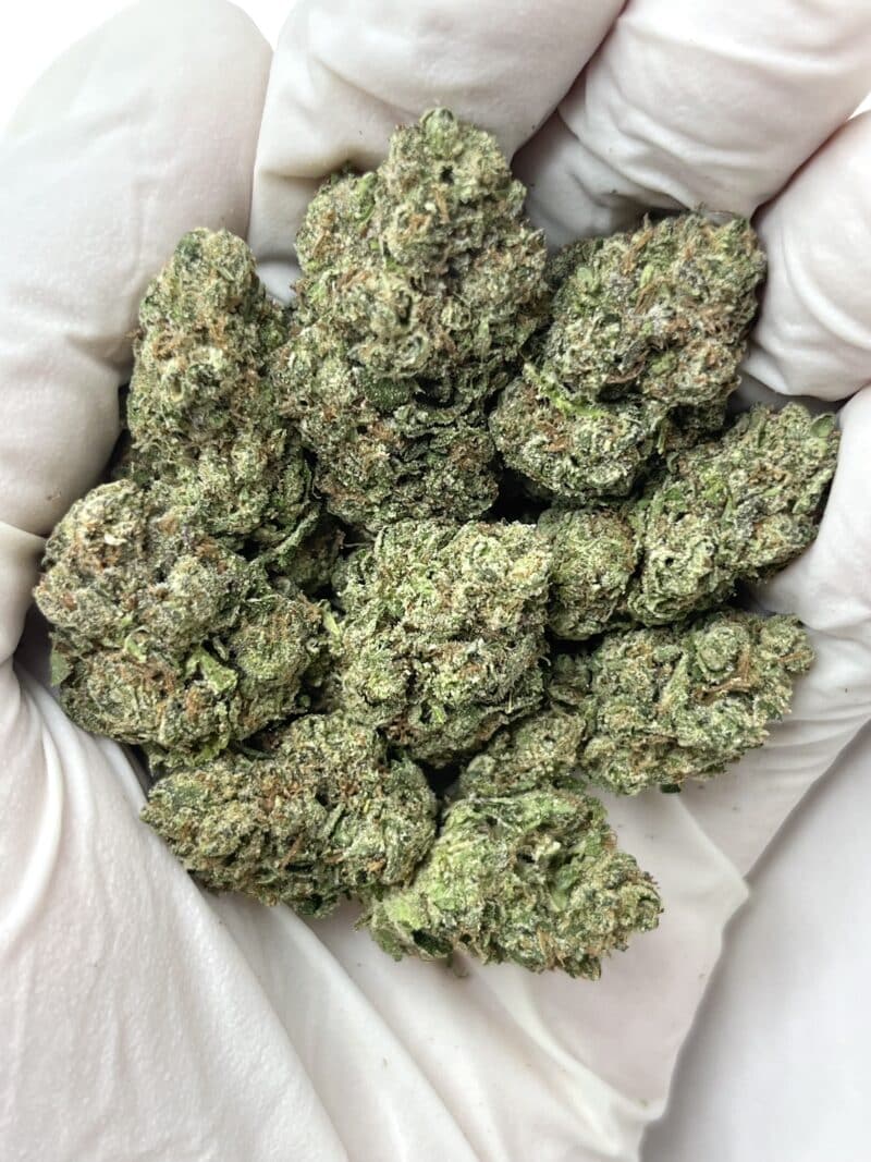 1 Pound THCa Flower - Lipsmacker Big